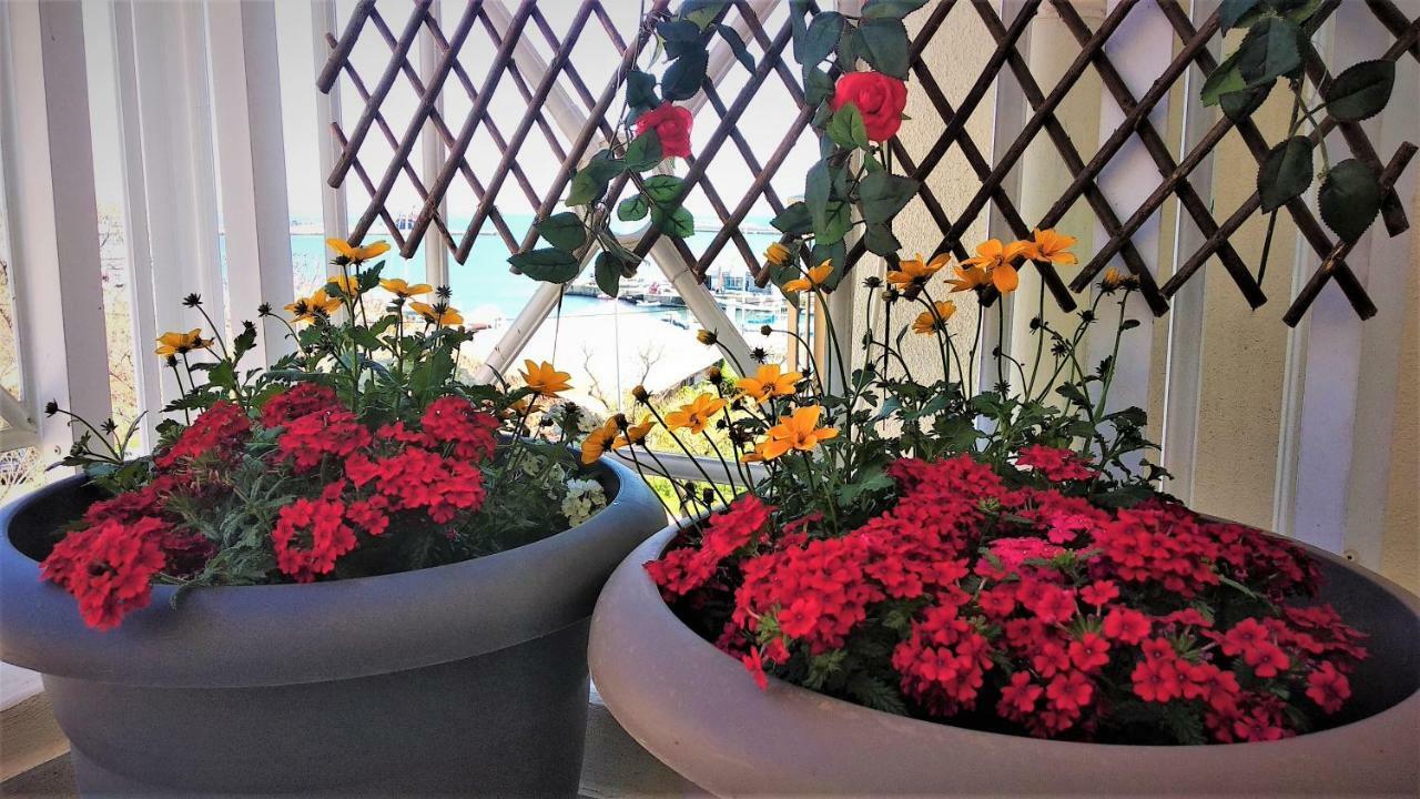Marizot Apartment アレクサンドルポリス エクステリア 写真